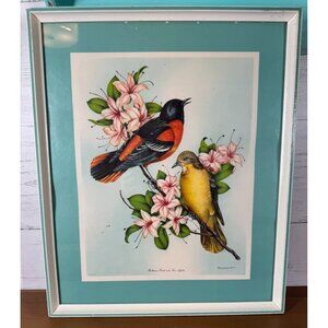 Vintage Bird Lithographs Baltimore Oriole & Tree Azalea Vincent 15"x18" Framed